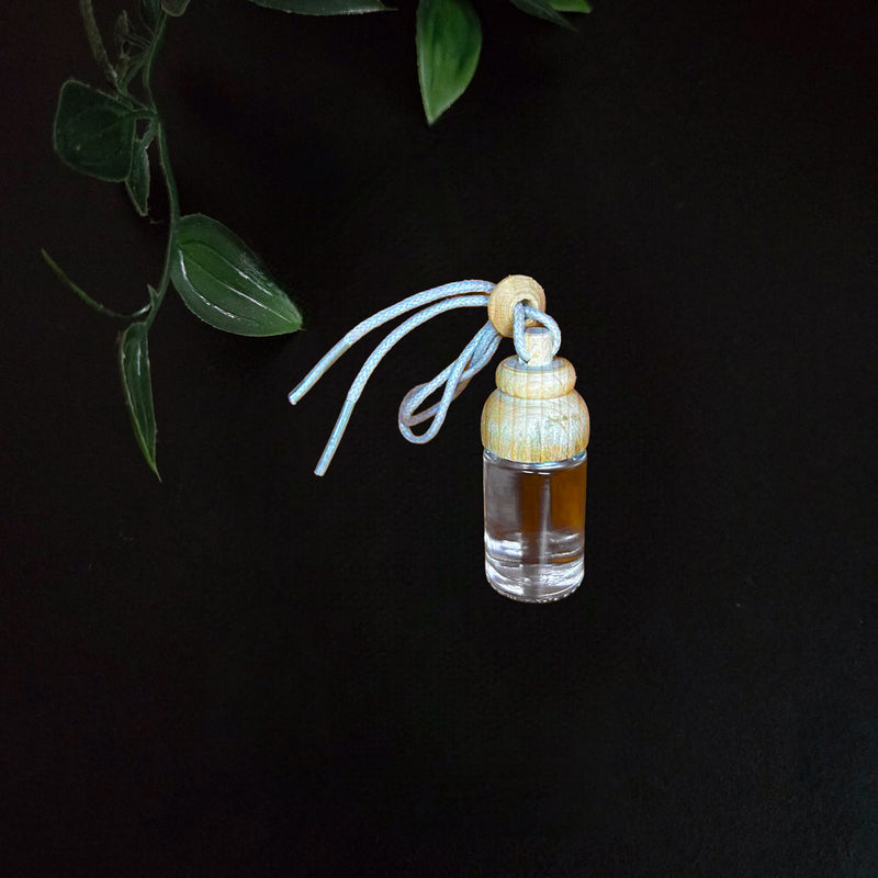 Ambientador de Carro